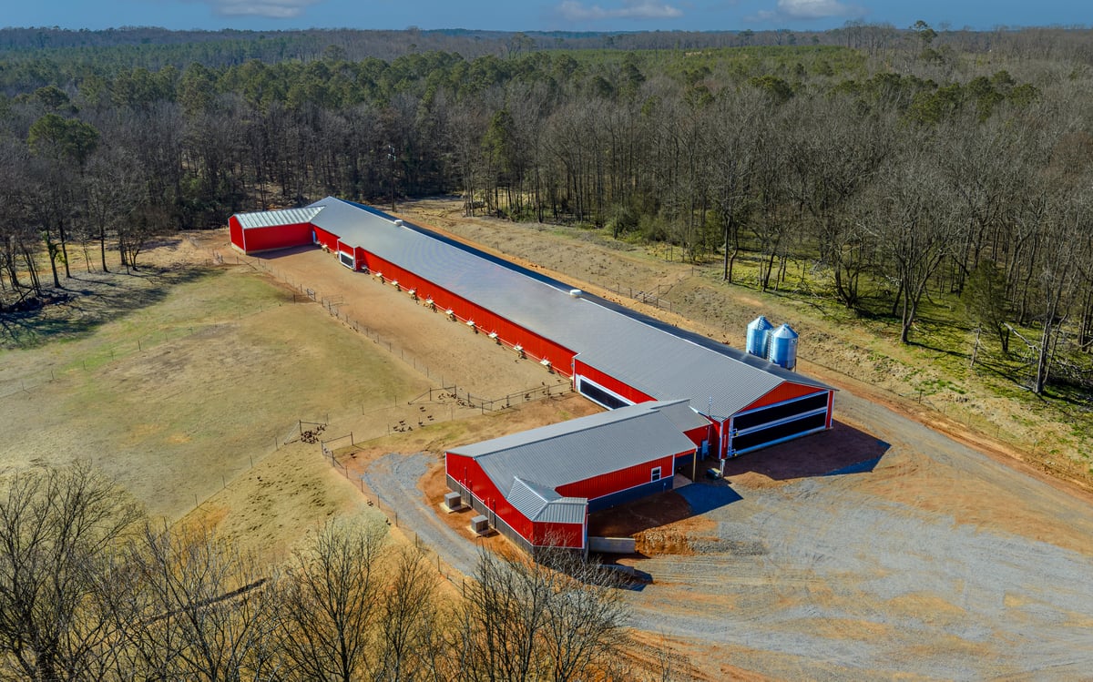 Commercial Cage-Free Egg Layer Barn_800x500_2
