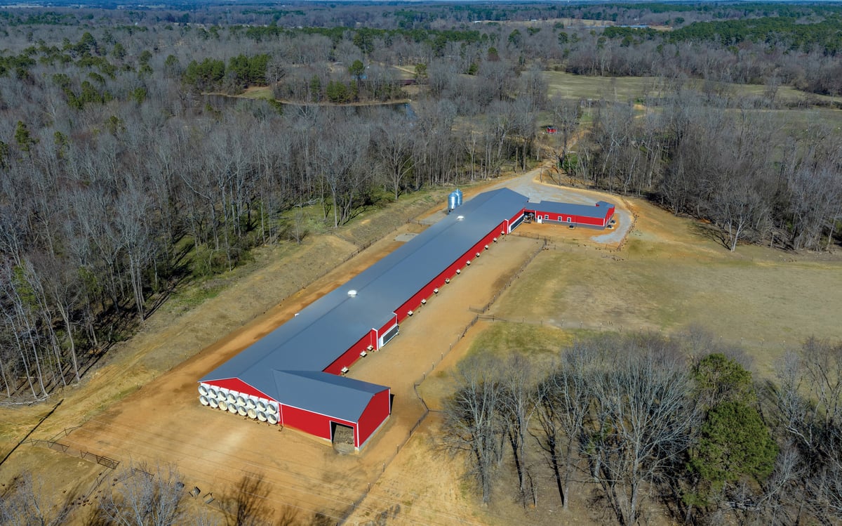 Commercial Cage-Free Egg Layer Barn_800x500_3