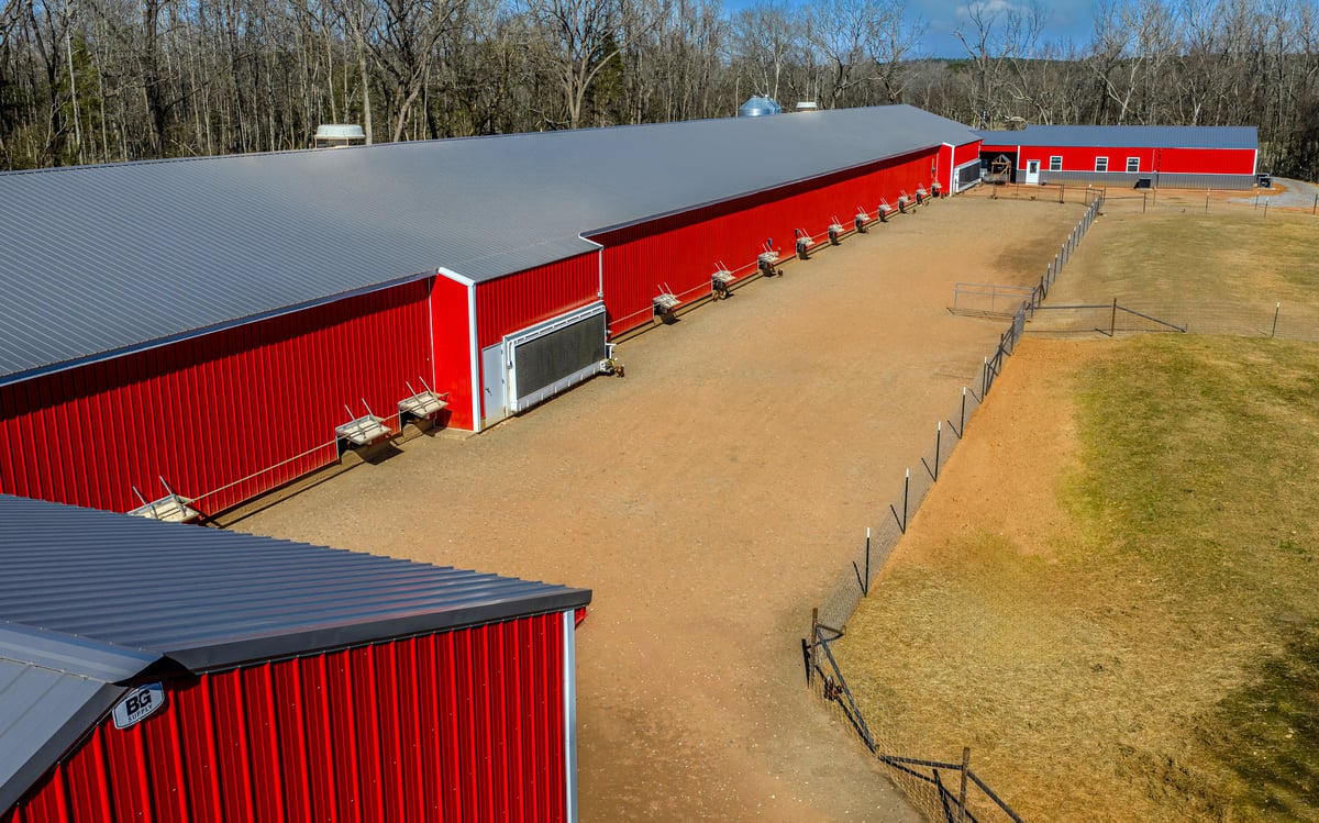 Commercial Cage-Free Egg Layer Barn_800x500_4