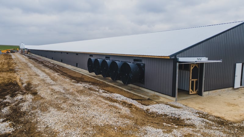 NuAge-Happy Hens-800x500-11