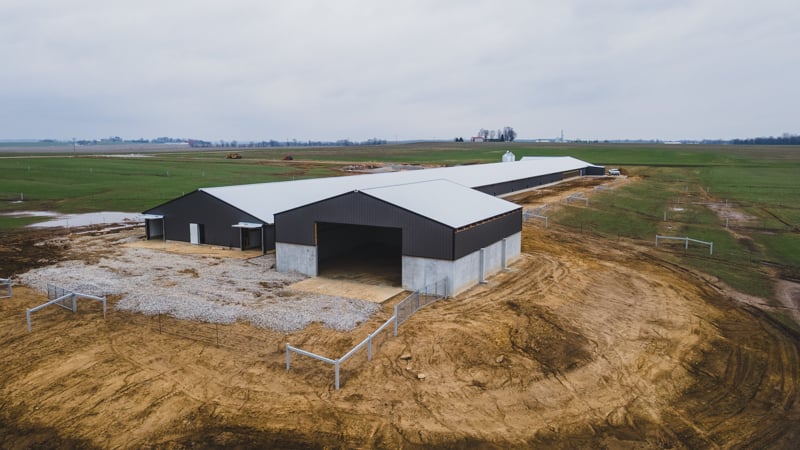 NuAge-Happy Hens-800x500-7